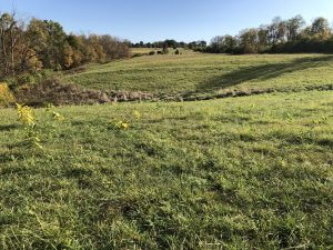 Image of Heritage Acres towards the road