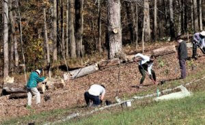 Four volunteers on a hillside at Heritage Acres planting trees.
